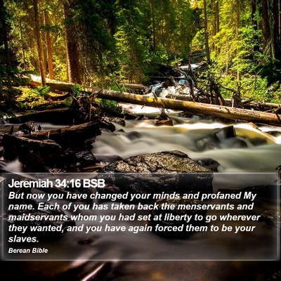 Jeremiah 34:16 BSB Bible Verse Image
