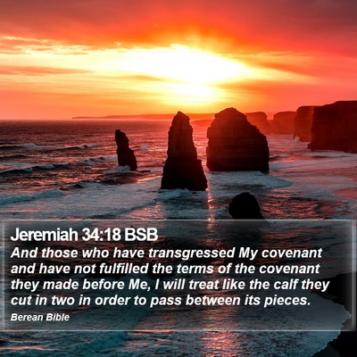 Jeremiah 34:18 BSB Bible Verse Image