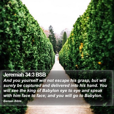 Jeremiah 34:3 BSB Bible Verse Image