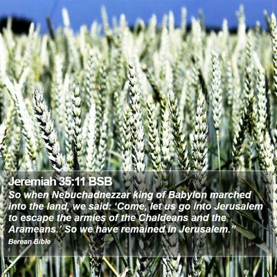 Jeremiah 35:11 BSB Bible Verse Image