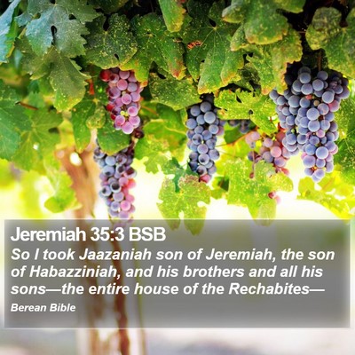 Jeremiah 35:3 BSB Bible Verse Image