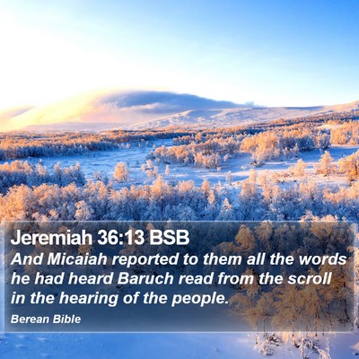 Jeremiah 36:13 BSB Bible Verse Image