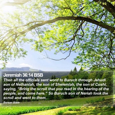 Jeremiah 36:14 BSB Bible Verse Image