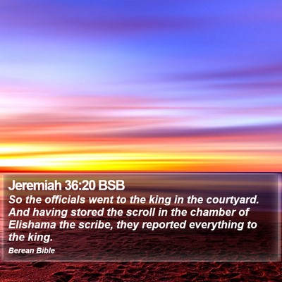 Jeremiah 36:20 BSB Bible Verse Image