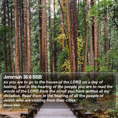 Jeremiah 36:6 BSB Bible Verse Image