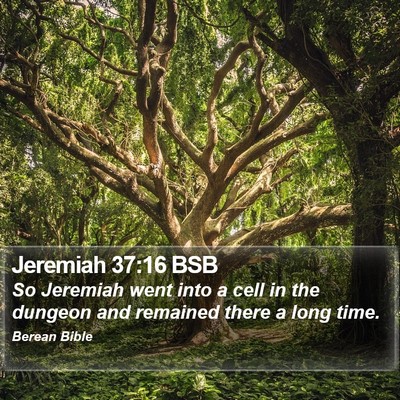 Jeremiah 37:16 BSB Bible Verse Image