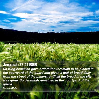 Jeremiah 37:21 BSB Bible Verse Image