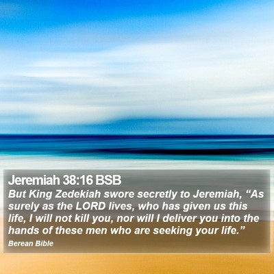 Jeremiah 38:16 BSB Bible Verse Image