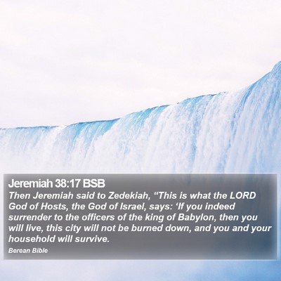 Jeremiah 38:17 BSB Bible Verse Image