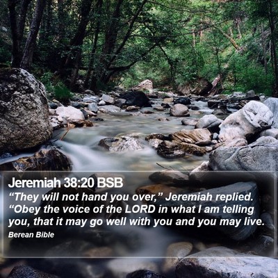 Jeremiah 38:20 BSB Bible Verse Image