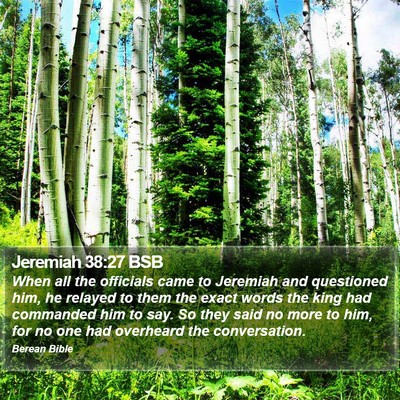 Jeremiah 38:27 BSB Bible Verse Image