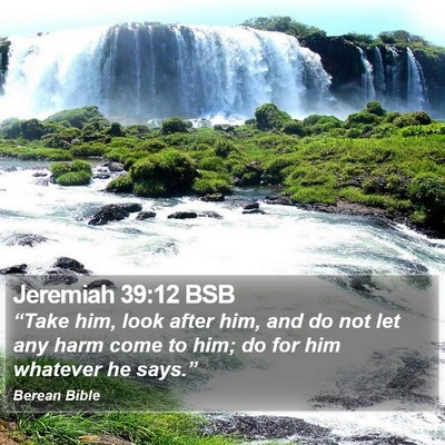 Jeremiah 39:12 BSB Bible Verse Image