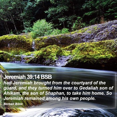 Jeremiah 39:14 BSB Bible Verse Image