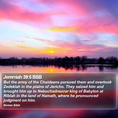 Jeremiah 39:5 BSB Bible Verse Image