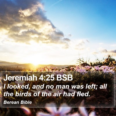 Jeremiah 4:25 BSB Bible Verse Image