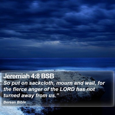 Jeremiah 4:8 BSB Bible Verse Image