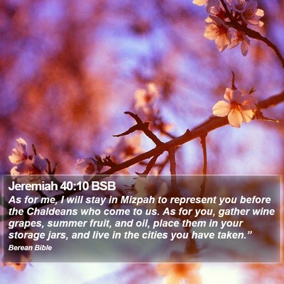 Jeremiah 40:10 BSB Bible Verse Image