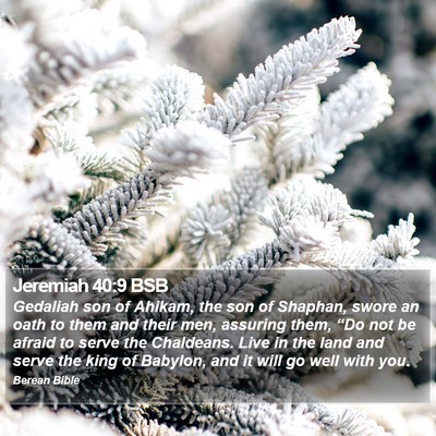 Jeremiah 40:9 BSB Bible Verse Image