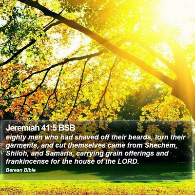 Jeremiah 41:5 BSB Bible Verse Image