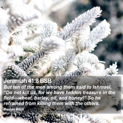Jeremiah 41:8 BSB Bible Verse Image