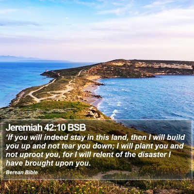 Jeremiah 42:10 BSB Bible Verse Image