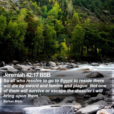Jeremiah 42:17 BSB Bible Verse Image