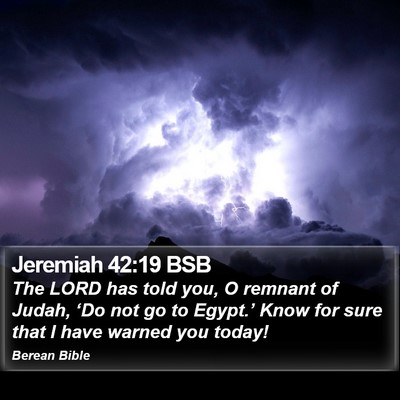 Jeremiah 42:19 BSB Bible Verse Image