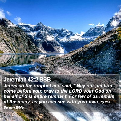 Jeremiah 42:2 BSB Bible Verse Image