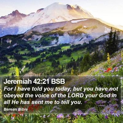 Jeremiah 42:21 BSB Bible Verse Image