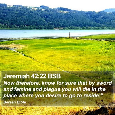 Jeremiah 42:22 BSB Bible Verse Image