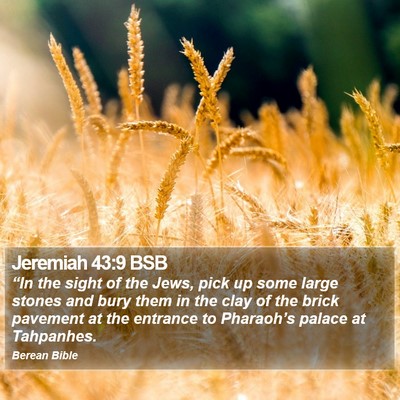 Jeremiah 43:9 BSB Bible Verse Image