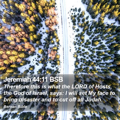 Jeremiah 44:11 BSB Bible Verse Image