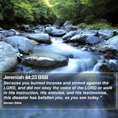 Jeremiah 44:23 BSB Bible Verse Image