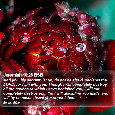 Jeremiah 46:28 BSB Bible Verse Image