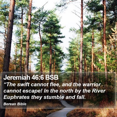 Jeremiah 46:6 BSB Bible Verse Image