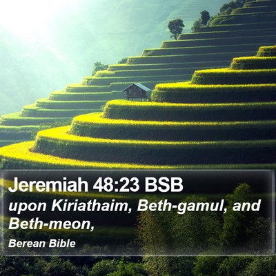 Jeremiah 48:23 BSB Bible Verse Image