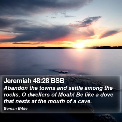 Jeremiah 48:28 BSB Bible Verse Image