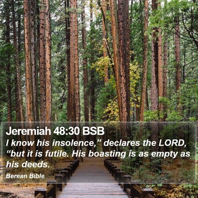 Jeremiah 48:30 BSB Bible Verse Image