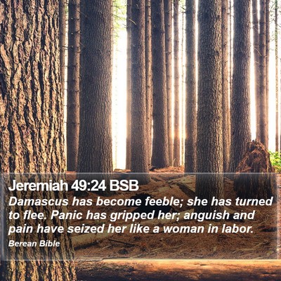 Jeremiah 49:24 BSB Bible Verse Image