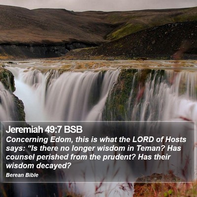 Jeremiah 49:7 BSB Bible Verse Image