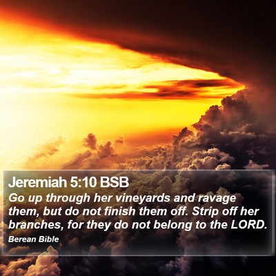 Jeremiah 5:10 BSB Bible Verse Image