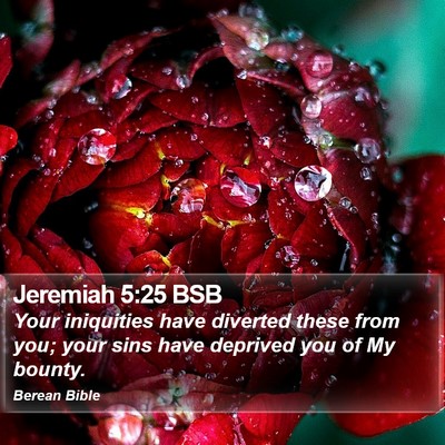 Jeremiah 5:25 BSB Bible Verse Image