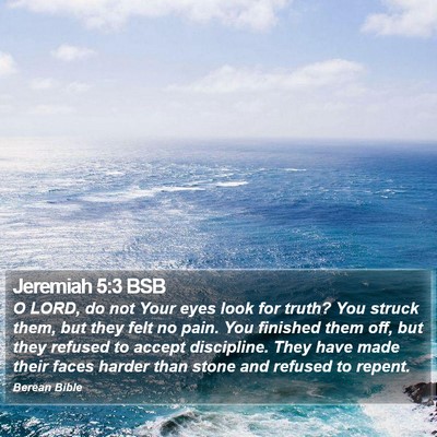 Jeremiah 5:3 BSB Bible Verse Image
