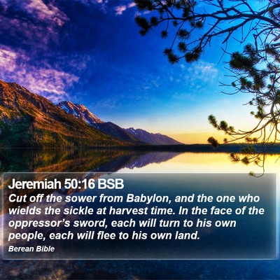 Jeremiah 50:16 BSB Bible Verse Image