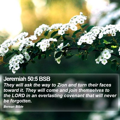 Jeremiah 50:5 BSB Bible Verse Image