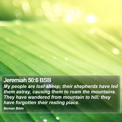 Jeremiah 50:6 BSB Bible Verse Image