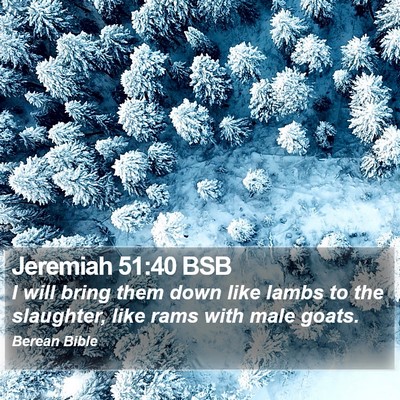 Jeremiah 51:40 BSB Bible Verse Image