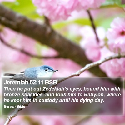 Jeremiah 52:11 BSB Bible Verse Image