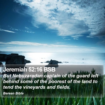 Jeremiah 52:16 BSB Bible Verse Image