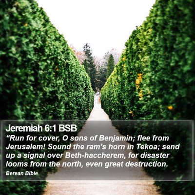 Jeremiah 6:1 BSB Bible Verse Image